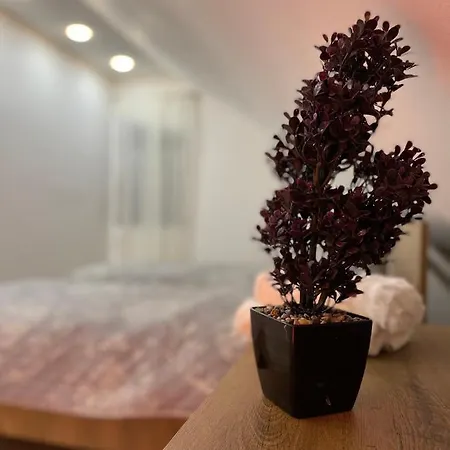 Apartment Luna *